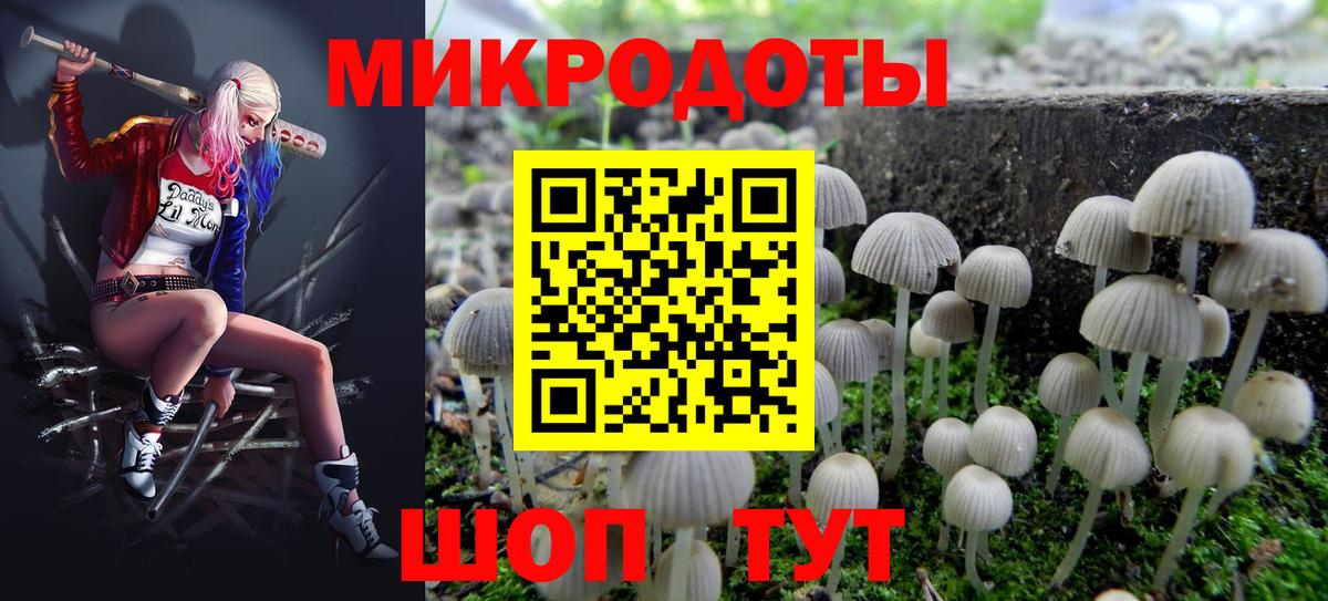 Псилоцибиновые грибы Psilocybine cubensis Владивосток