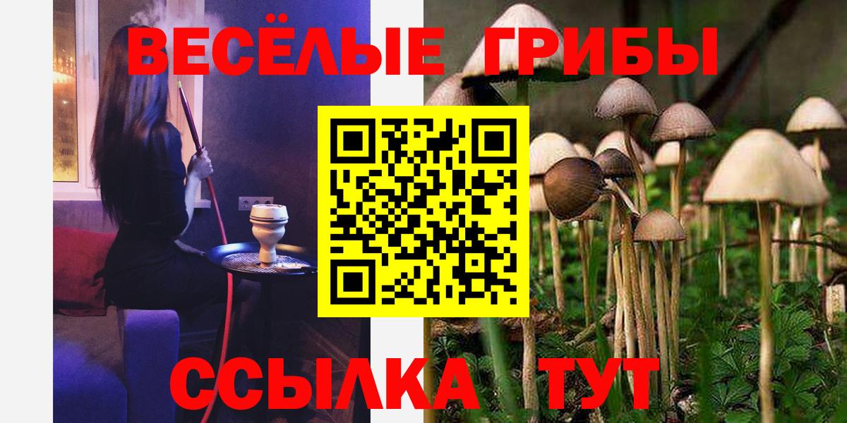 Владивосток  Галлюциногенные грибы Magic Shrooms  Вход с VPN 